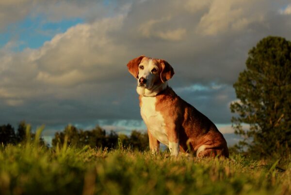 Yleinen sarja, jaettu 3. sija. Kuvaaja: Jonna Nahkala