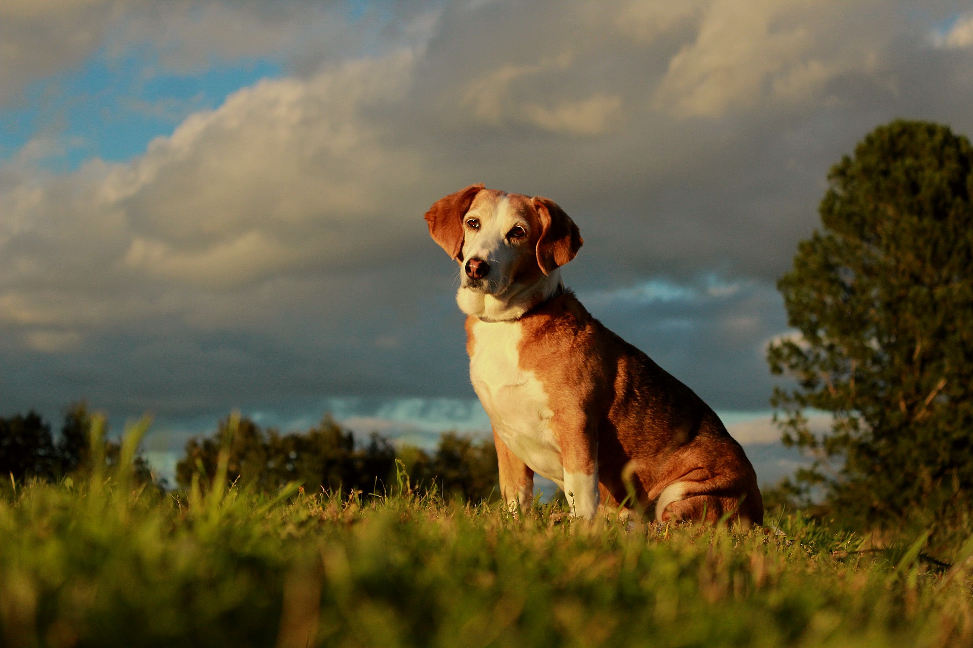 Lehden vaihtaminen digilehdeksi