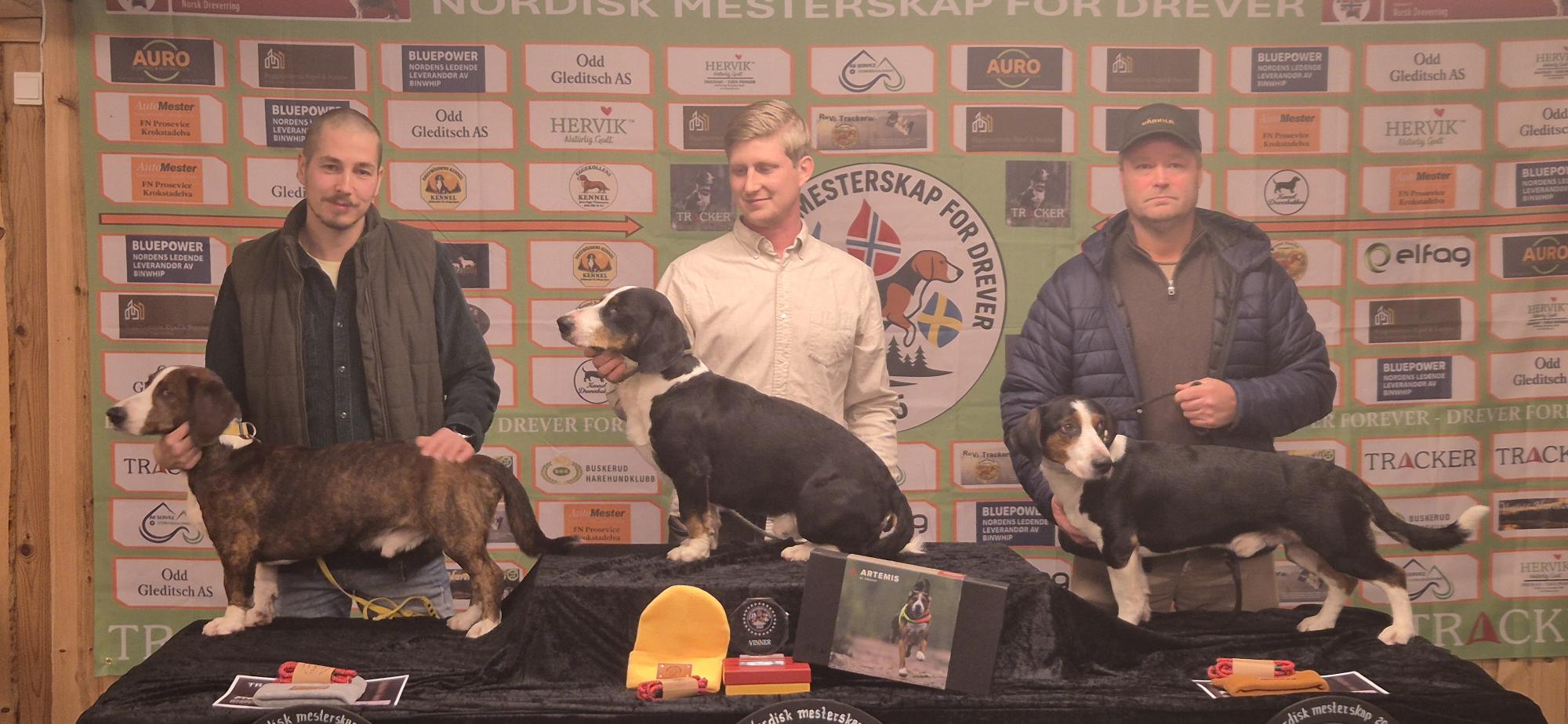 Pohjoismainen mestaruusottelu 2025 Norja